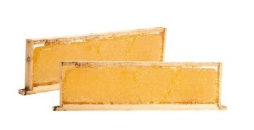 Petek Bal 3300 GR-3500 GR