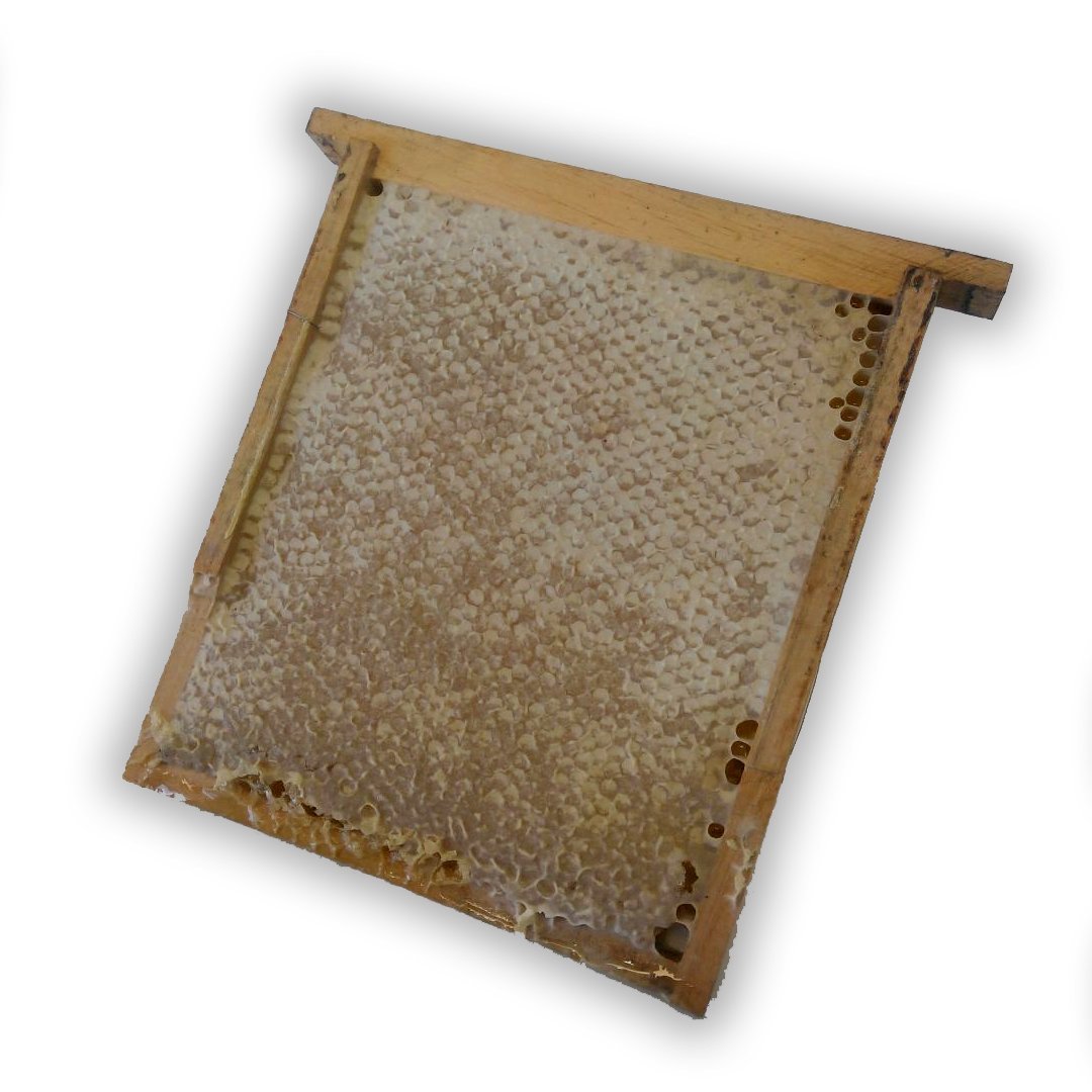 Kare Petek Bal 1100 GR -1200 GR