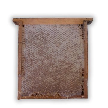 Kare Petek Bal 1100 GR -1200 GR