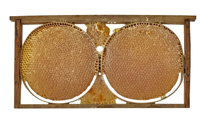 Karakovan  Petek Bal 2800 GR-3100 GR